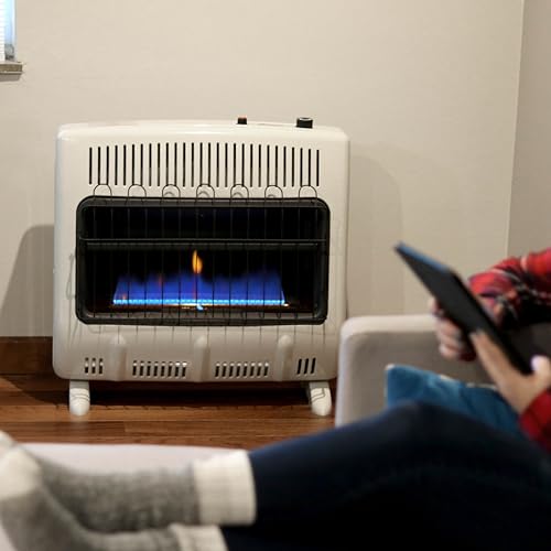 30,000 BTU Blue Flame Propane Heater R811