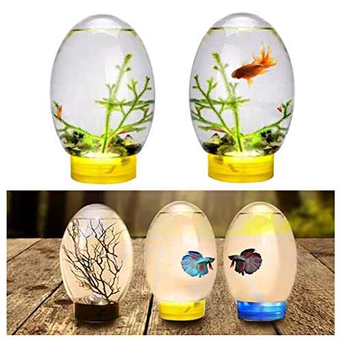 Mini Ecological Fish Tank, Closed Aquatic Ecosphere Desktop Aquarium with Led Base P21565