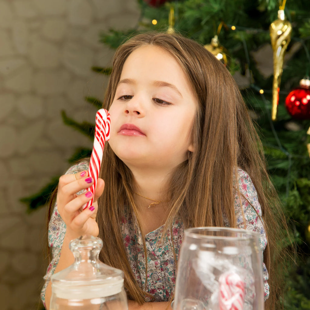 12ct Peppermint Candy Canes Red & White Hard Candy O72465