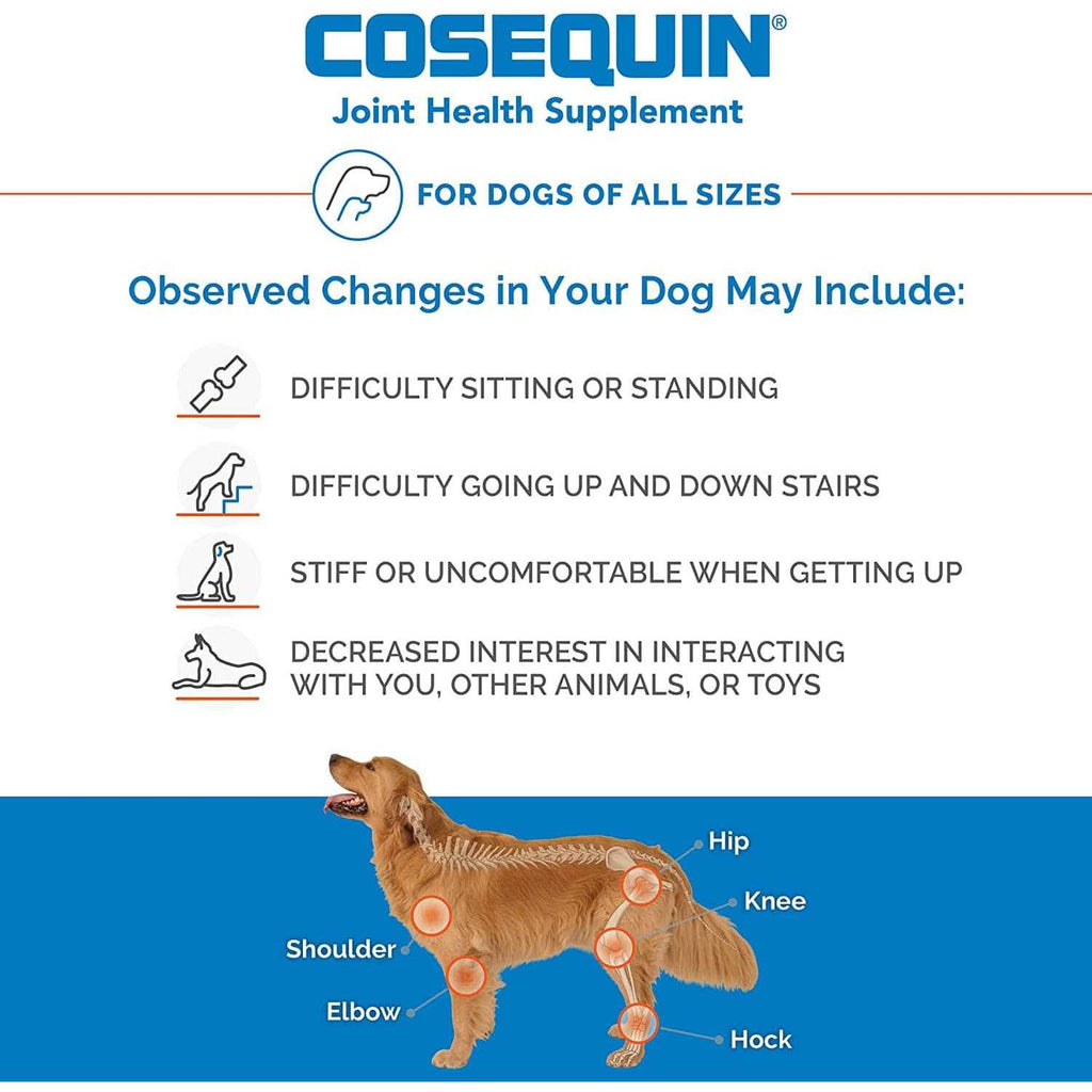 Chewable Tablets for Dogs A269