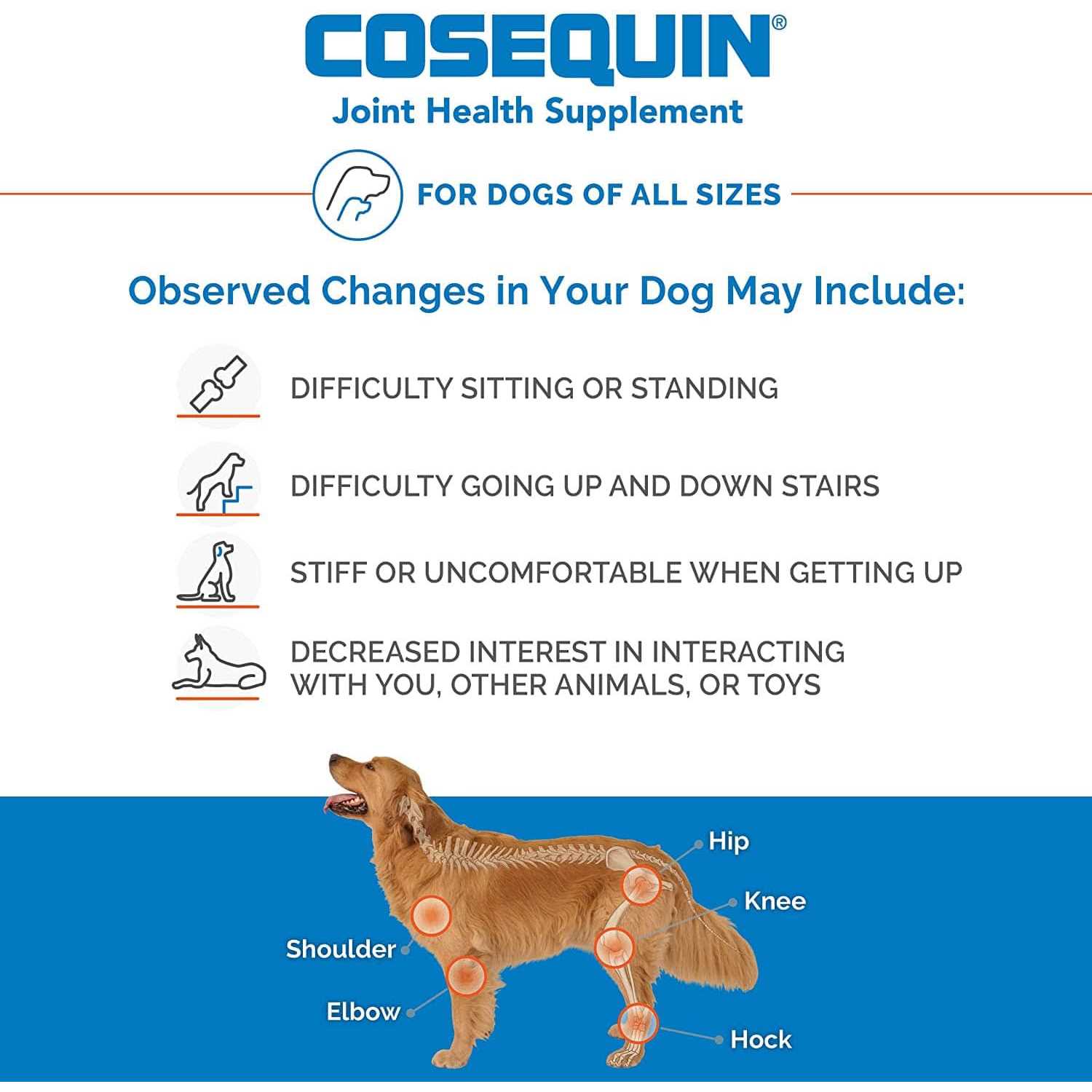 Chewable Tablets for Dogs A269