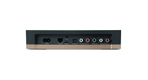 Wireless Audio Streamer T224061
