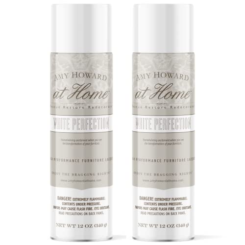 12 OZ High Gloss Spray Lacquer D41051