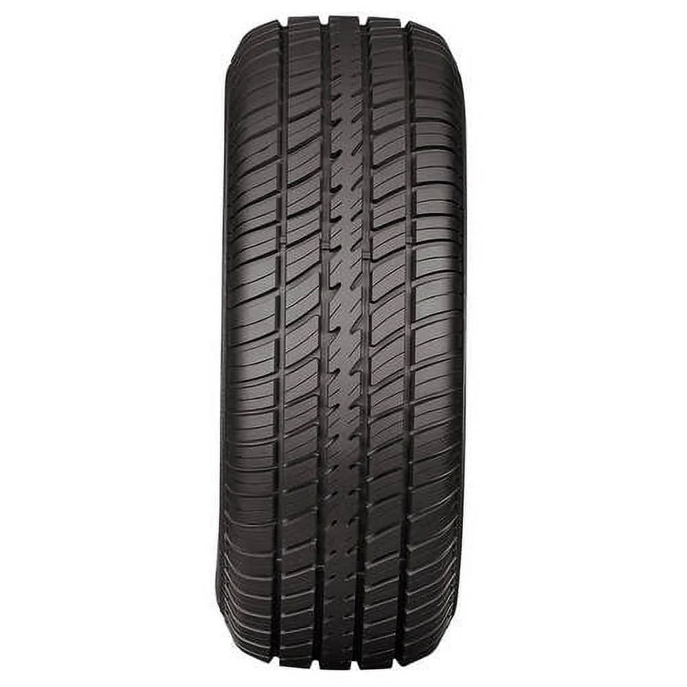 P235/60R15 98T WL Tires (2 Tires) C312