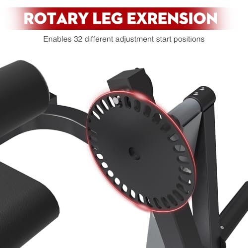 Adjustable Leg Extension and Curl Machine Z724