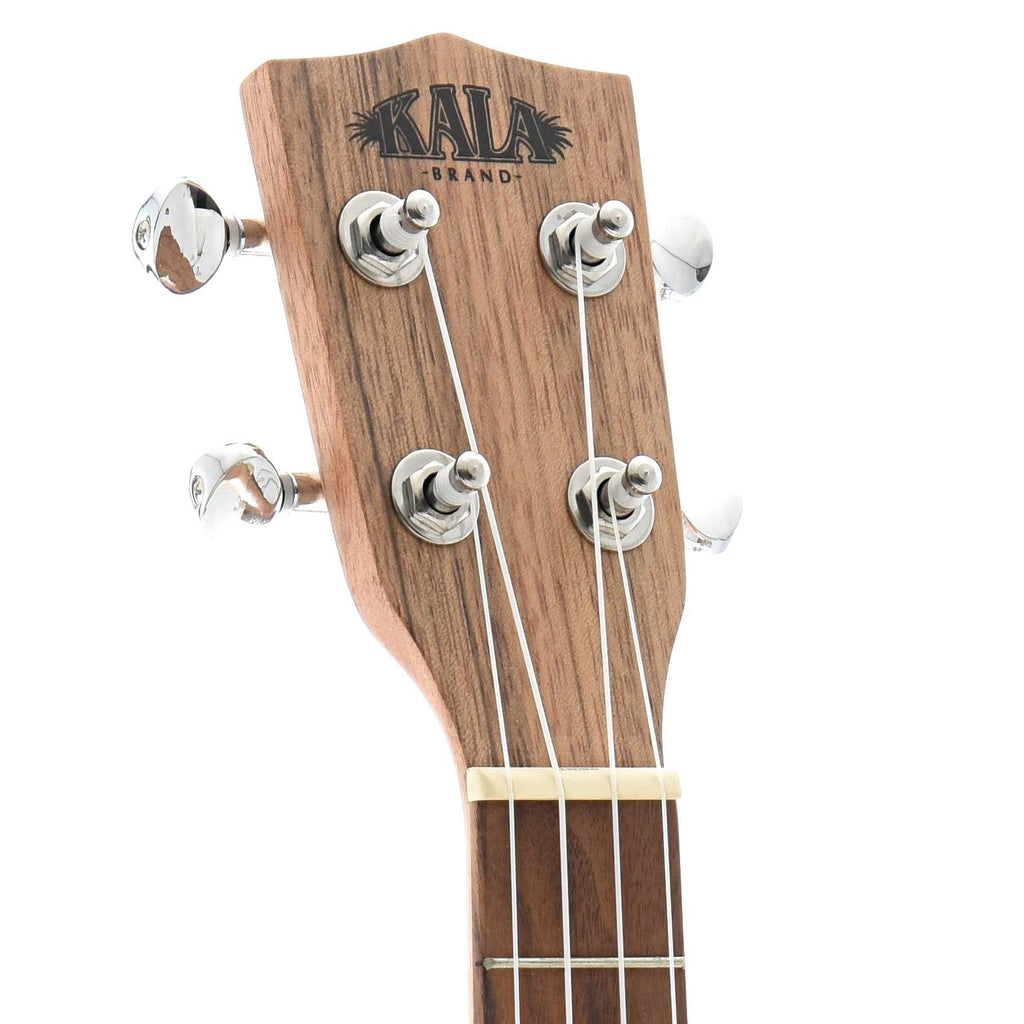 Pacific Walnut Tenor Electric Ukulele Z966