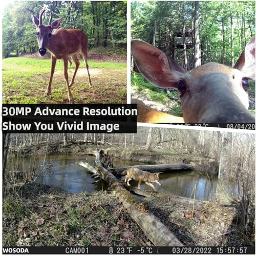 2 Pack Trail Cameras with Night Vision Motion Activated Waterproof 30MP Hunting Game Camera 1080P HD Trail Cam with SD Card Z785