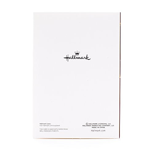 72 Cards and Envelopes Christmas Card Assortment Y76015