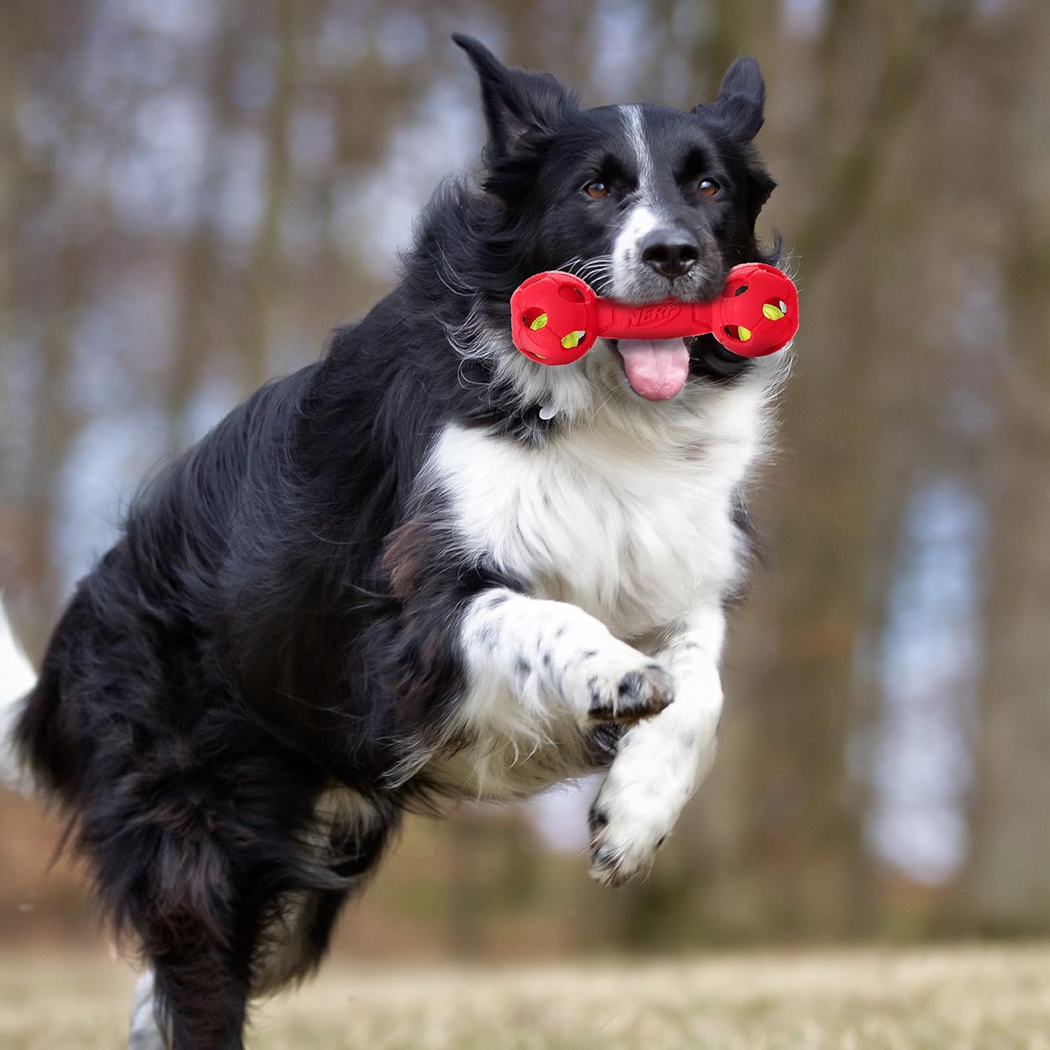 Red Rubber Dog Toy, 7 Inches, Lightweight, Durable, Water Resistant P5997
