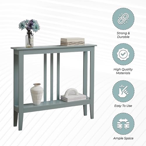 Teal Narrow Console Table with Storage W766