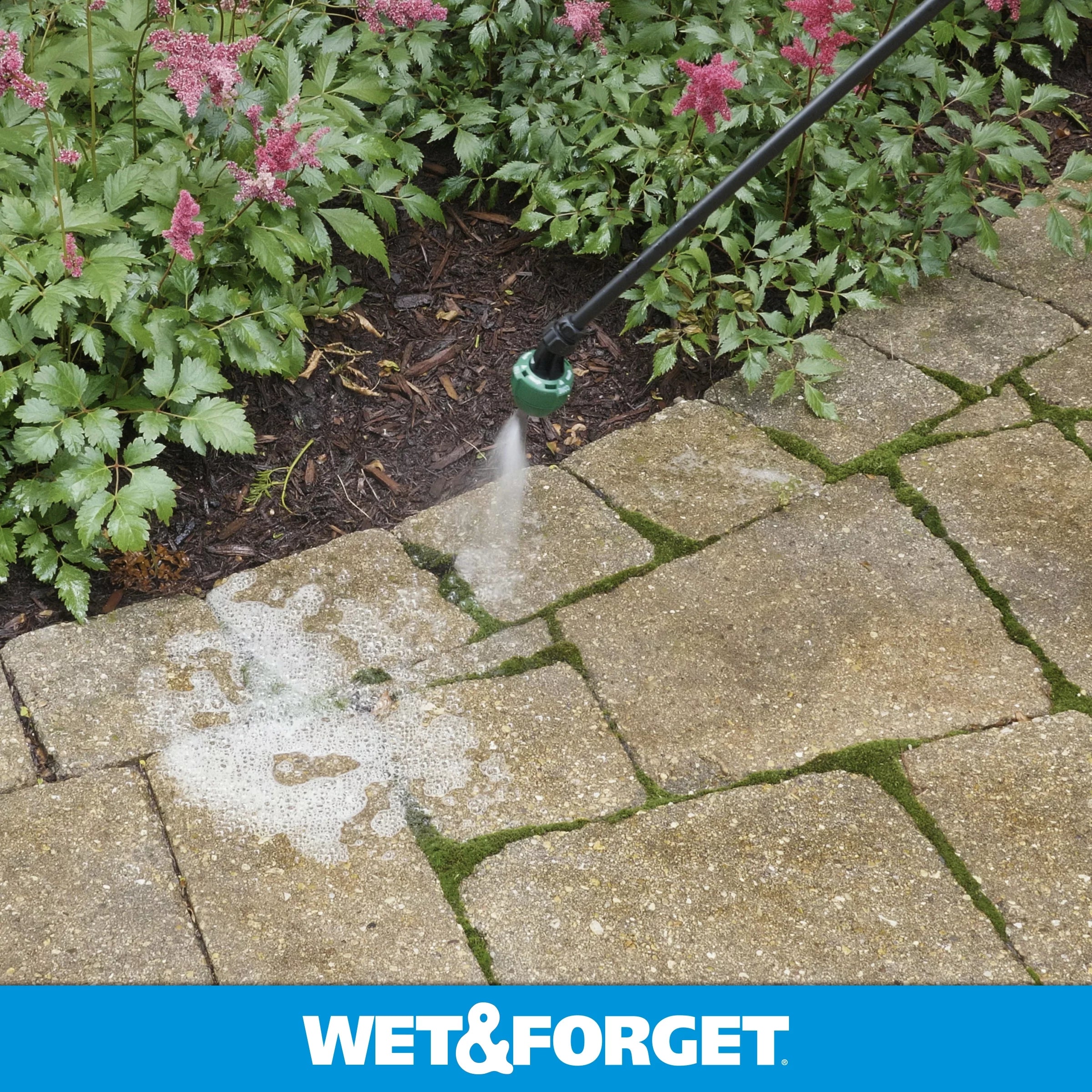 Outdoor Liquid Surface Cleaner & Stain Remover T589611