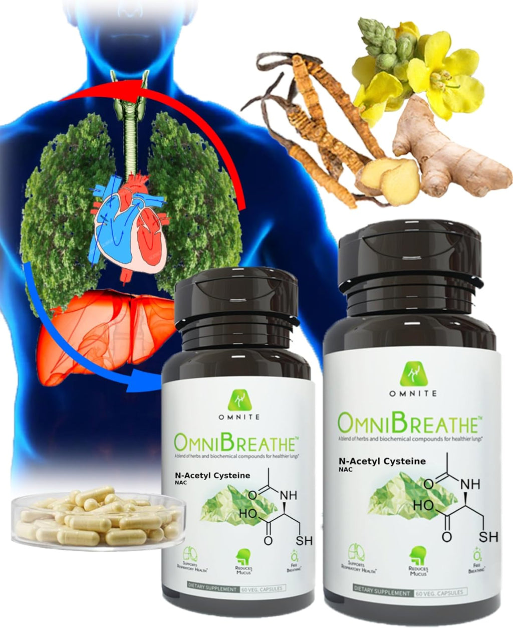 60 Vegan Capsules Pack of 2 Inhaler Mate P801