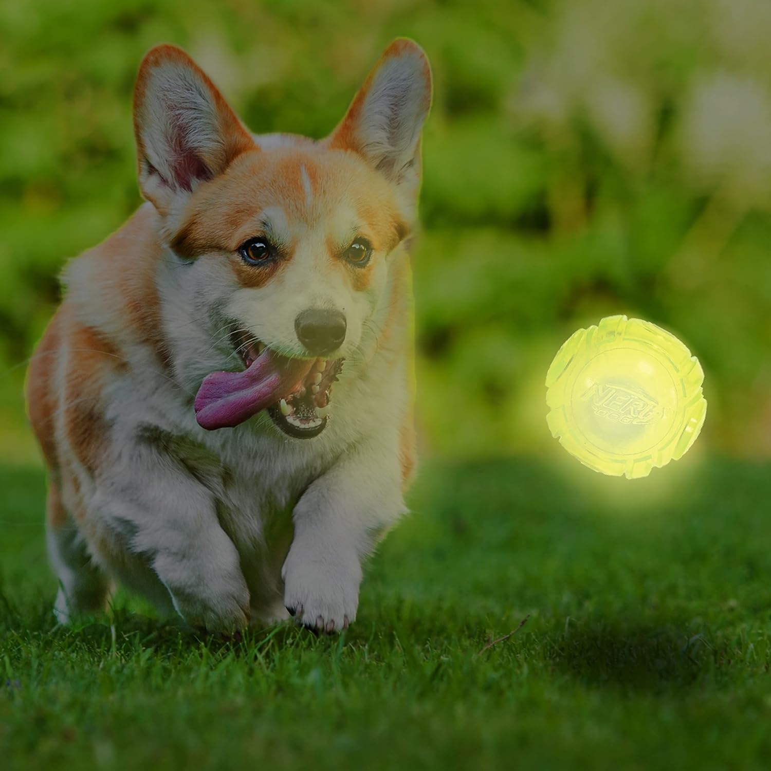 Glow Ball Dog Toy with Interactive LED, 2.5 Inches K422757