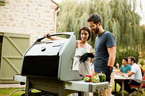 Black 3-Burner Liquid Propane Grill Q89933