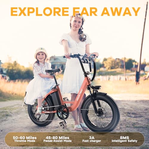 1500W 48V 18AH Removable Battery 20" x 4.0 Fat Tire 7-Speed Electric Bike W162