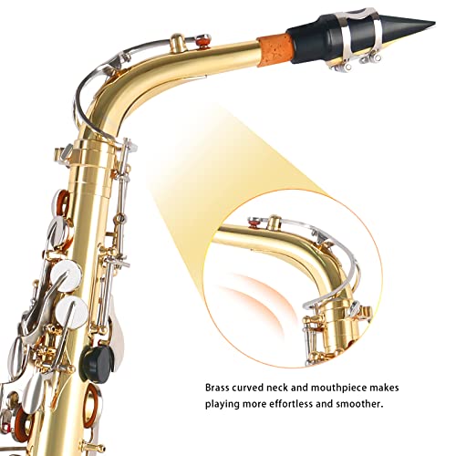 Black Nickel Alto Saxophone with Carrying Case P694703