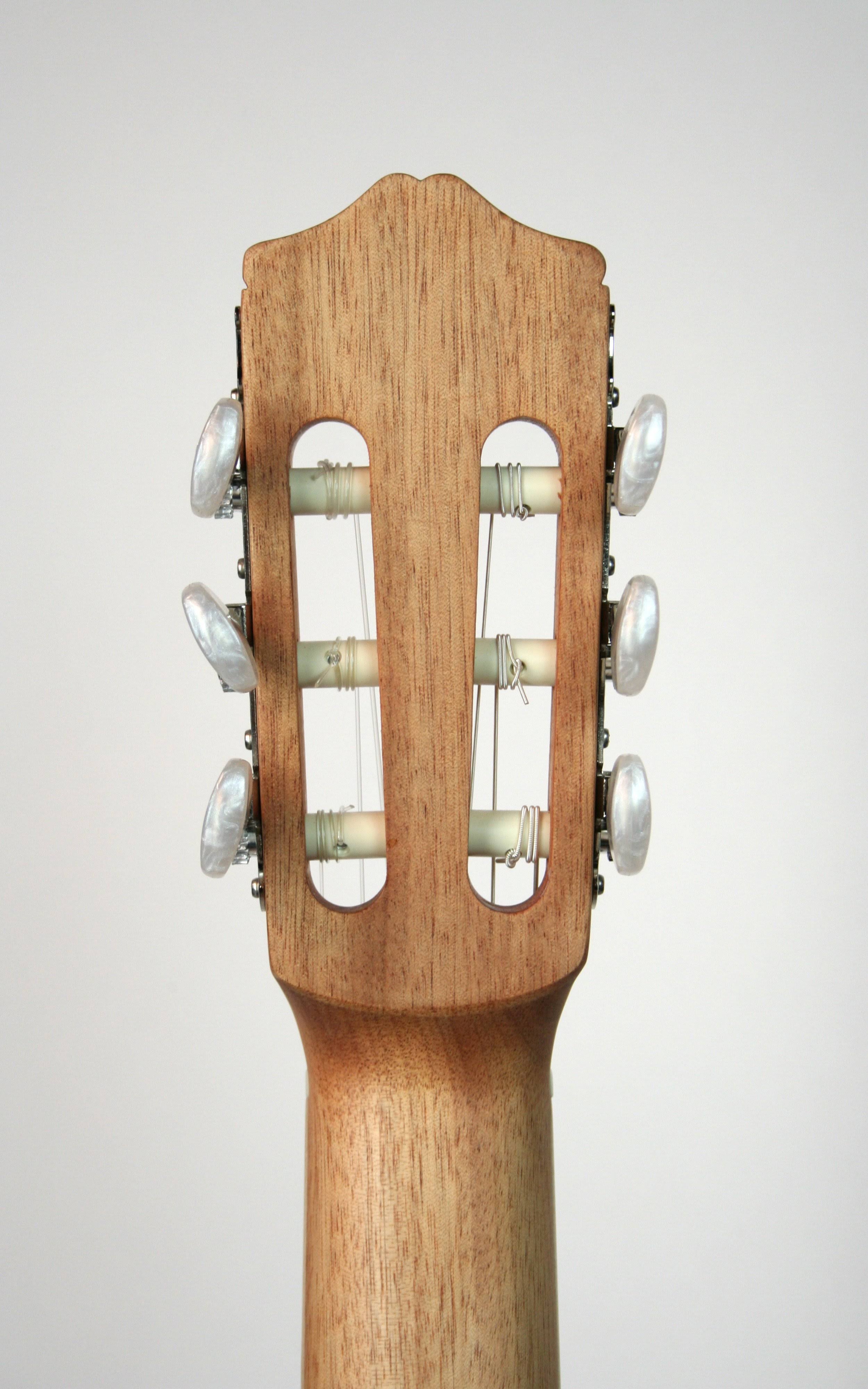 Coral Classical Guitar V3559