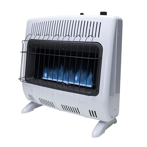 30,000 BTU Blue Flame Propane Heater R811