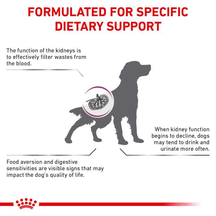 Renal Support Dry Dog Food D338581