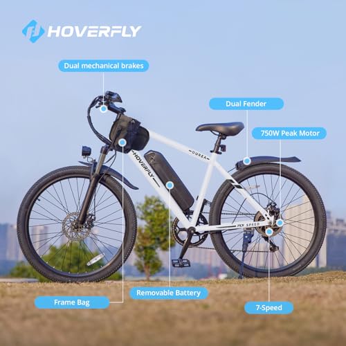 26" Electric Bike with 750W Peak Motor, 7-Speed, Removable Battery, Fat Tire Q545755