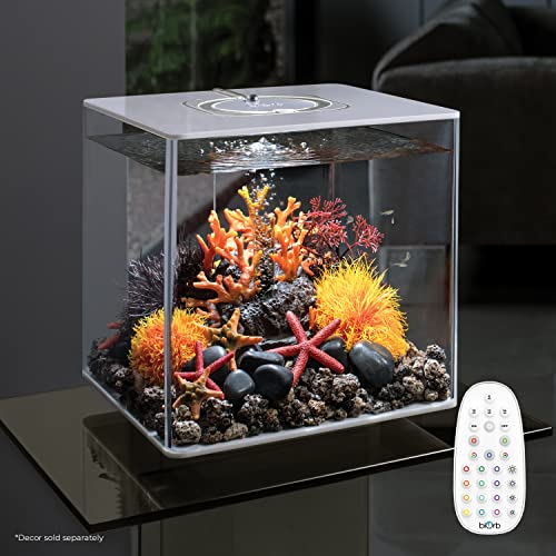 Black Acrylic 8-Gallon Aquarium with LED Lights H596